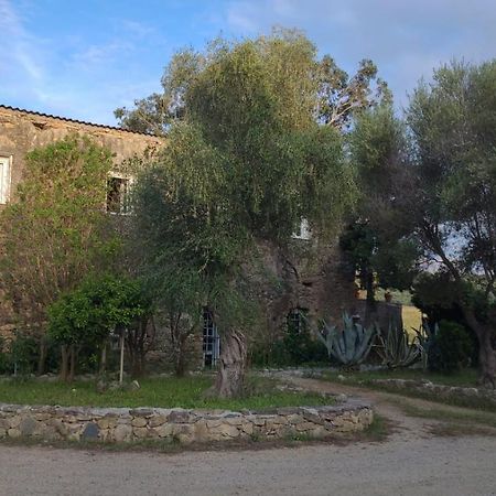 Palasca  Domaine Ostriconi B&B 외부 사진