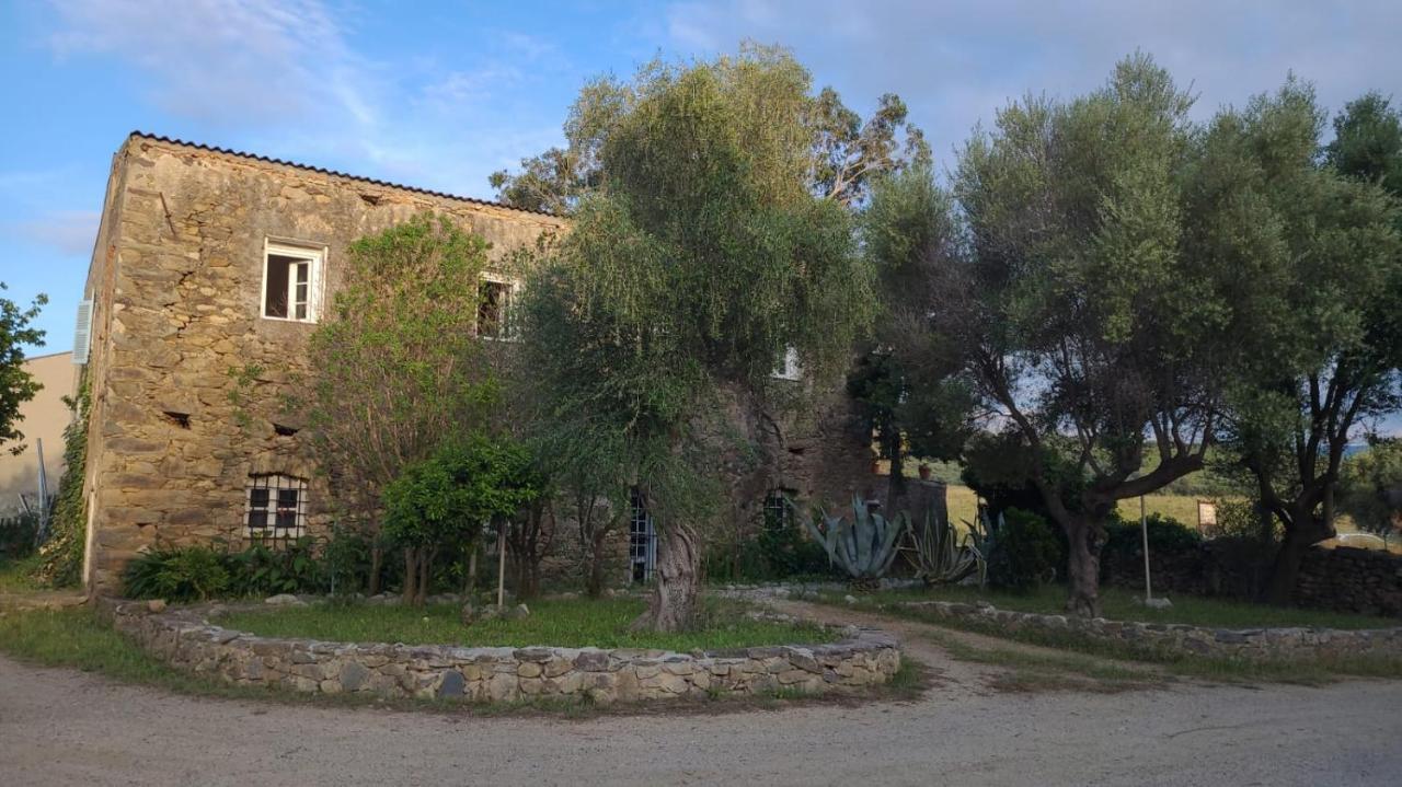 Palasca  Domaine Ostriconi B&B 외부 사진